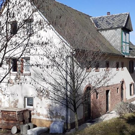 Willa Nordiques De La Welche Orbey Zewnętrze zdjęcie