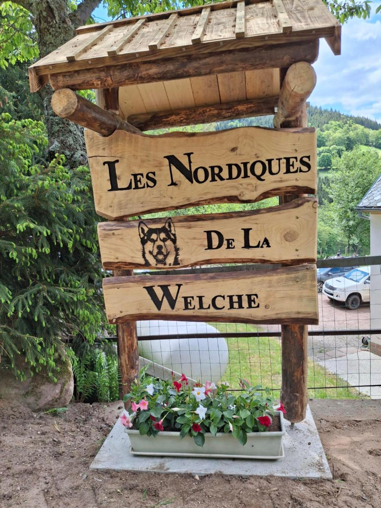 Willa Nordiques De La Welche Orbey Zewnętrze zdjęcie